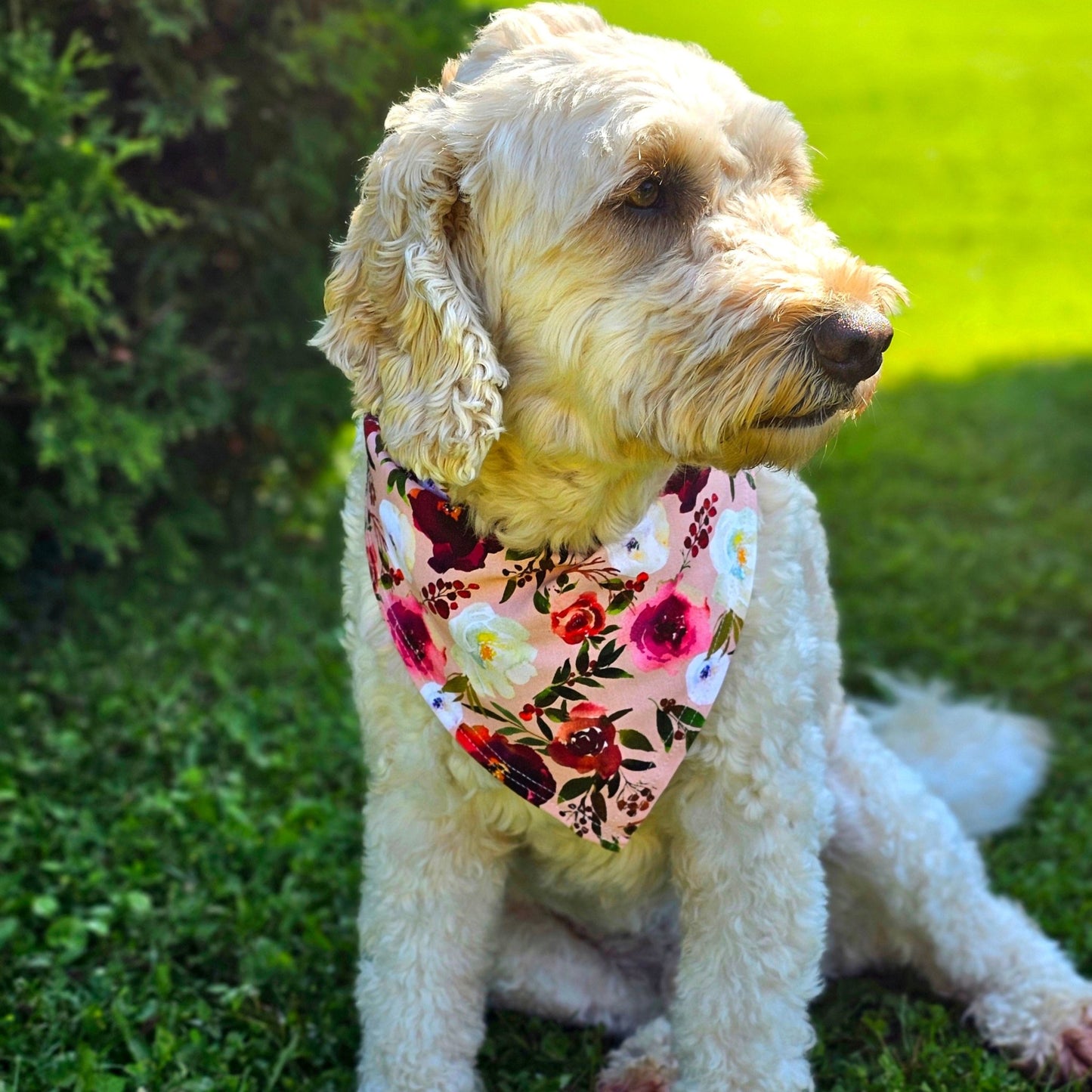 Pet Bandana in Peonies - Bright Earth Apparel