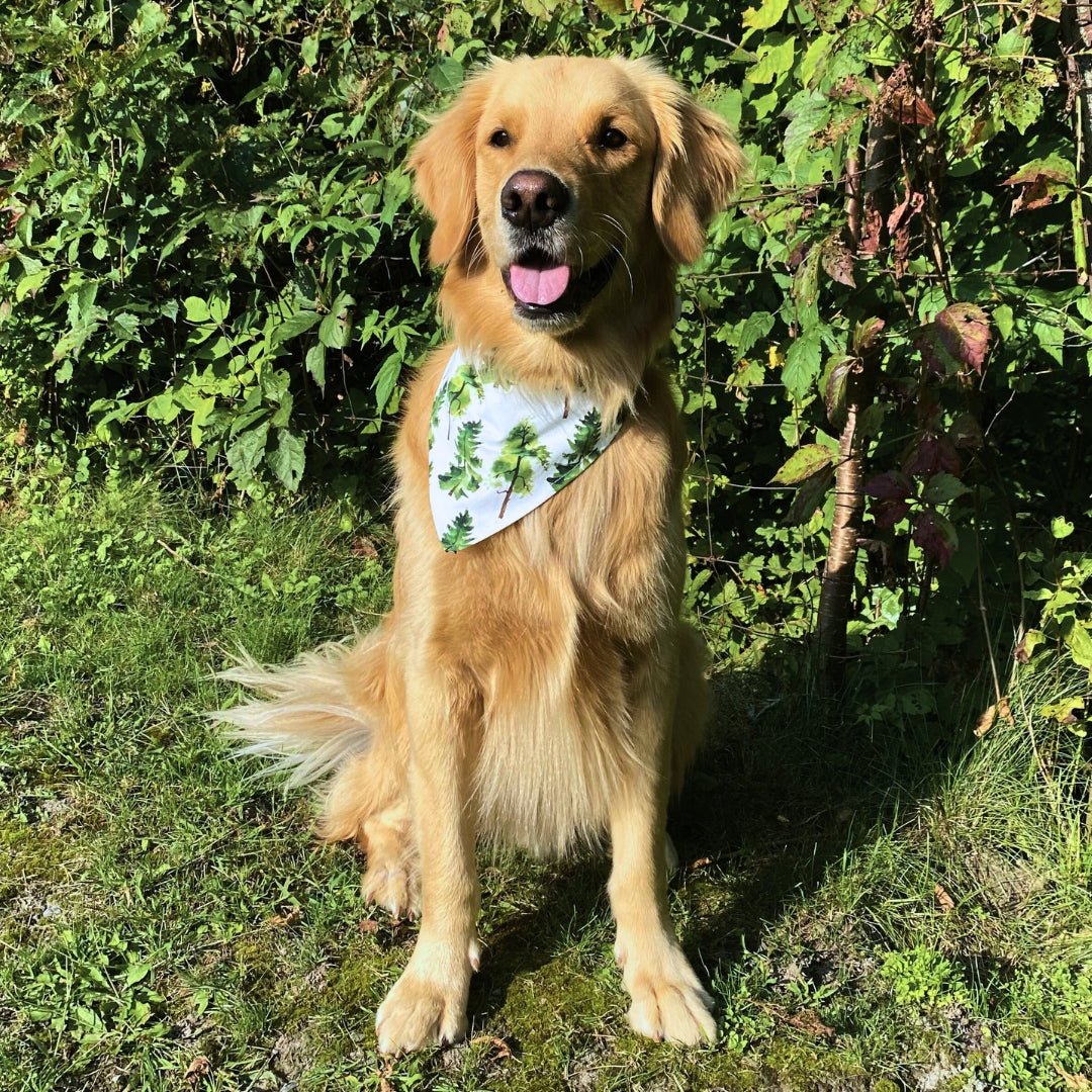 Pet Bandana in Pine Trees - Bright Earth Apparel