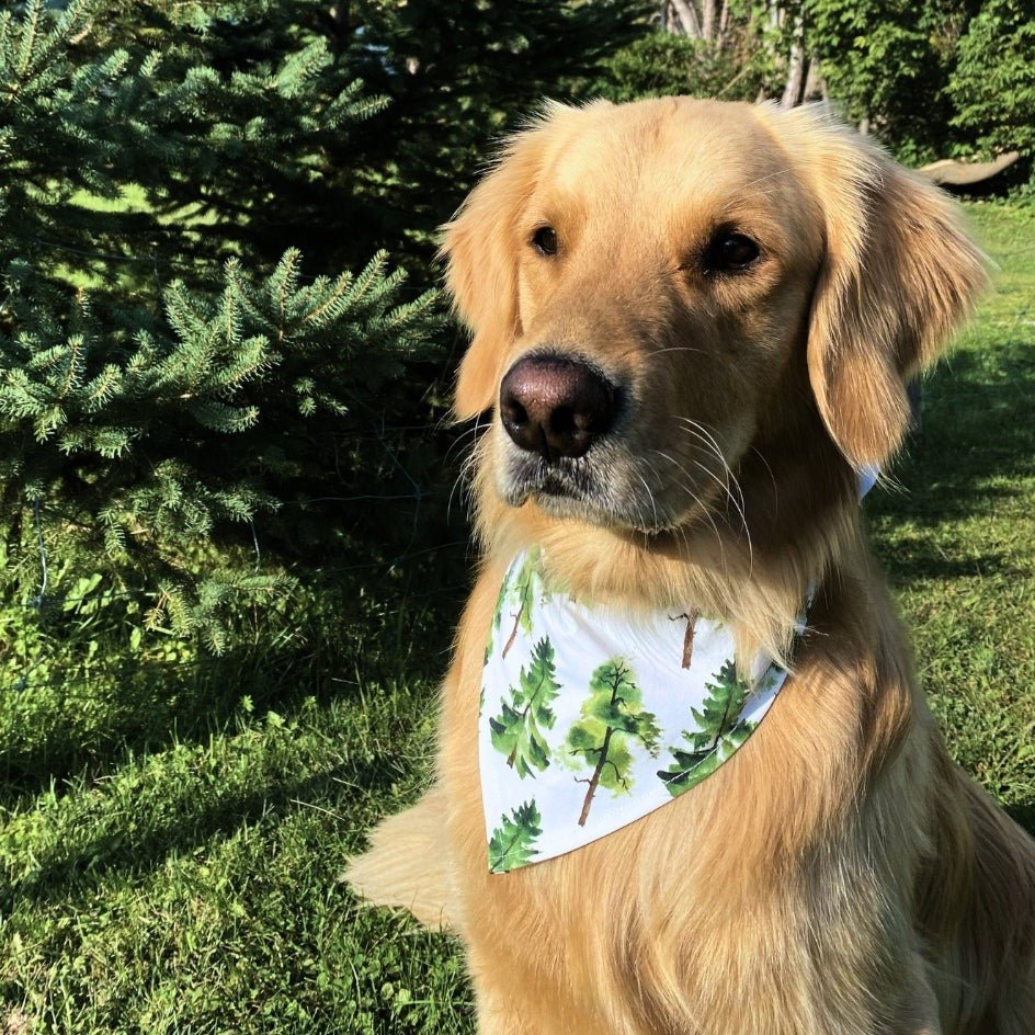 Pet Bandana in Pine Trees - Bright Earth Apparel