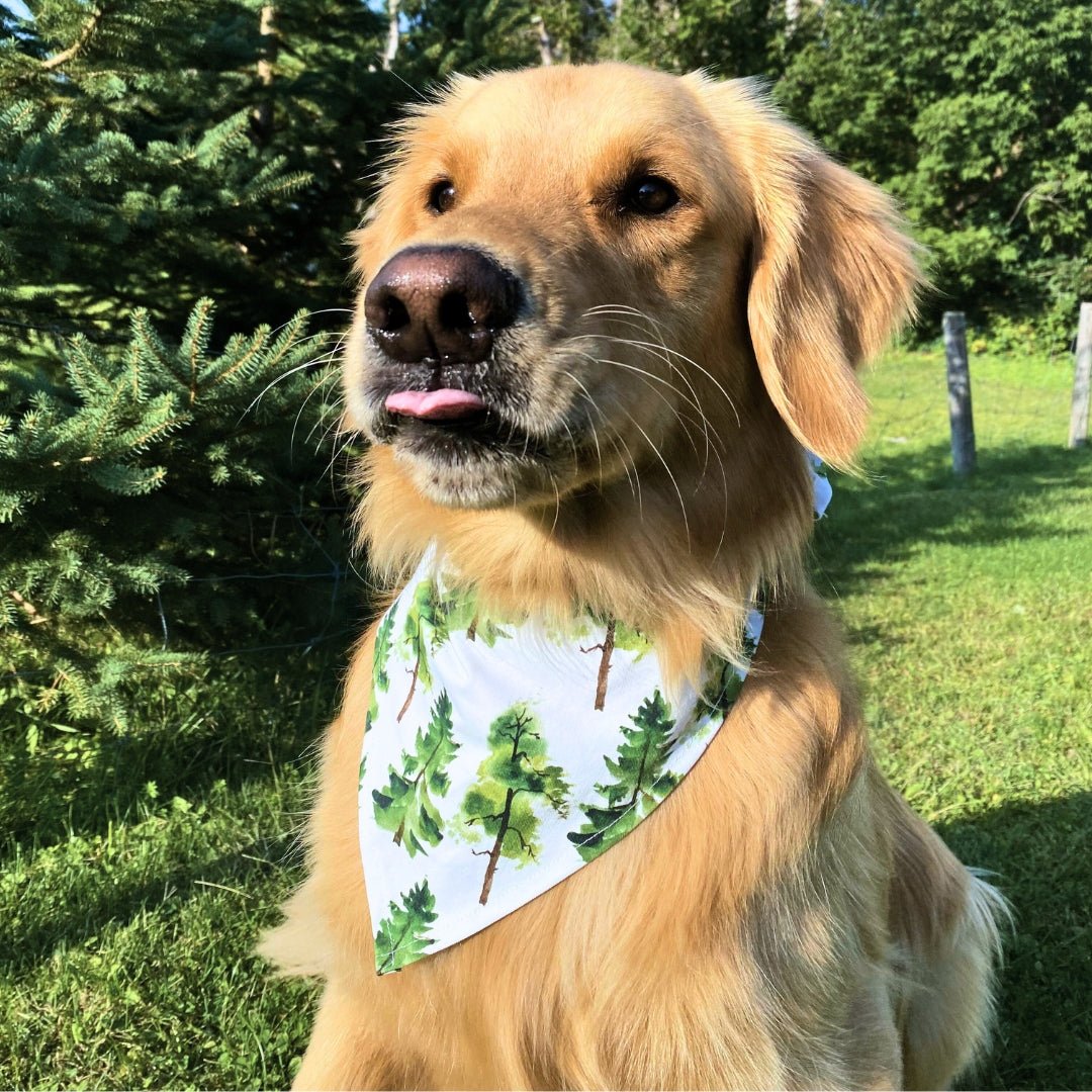 Pet Bandana in Pine Trees - Bright Earth Apparel