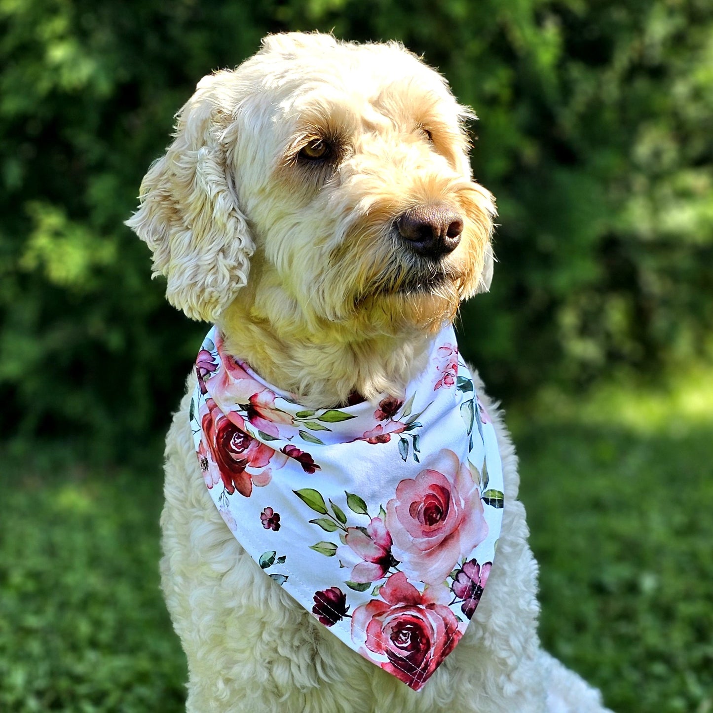 Pet Bandana in Roses - Bright Earth Apparel