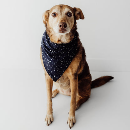 dog wearing bamboo bandana constellation print soft breathable pet accessory matching family